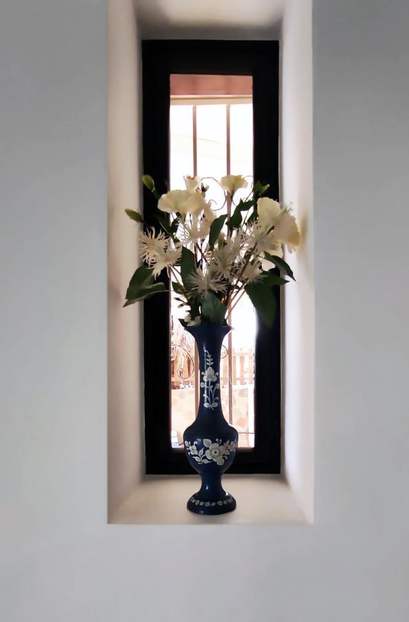 Guest House "Villa Klara Eilat" Heated Pool And Sauna All Year Round Εξωτερικό φωτογραφία